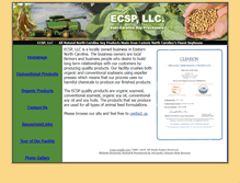 Tablet Screenshot of ecspllc.com